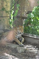 DSC_1574.jpg