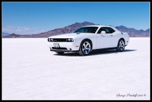 DSC_3747.jpg