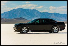 DSC_3793.jpg
