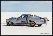 DSC_3829.jpg