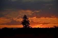 EVENING SKY 009.jpg