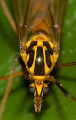 DSC_1240.jpg