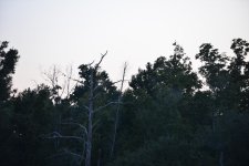 DSC_4440.jpg