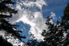 DSC_8805.jpg