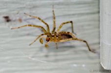 DSC_8819.jpg
