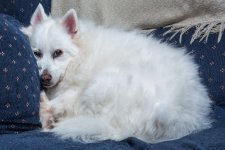 DSC_2452.jpg