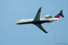 DSC_8808.jpg