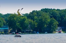 20130810-_1RB8963.jpg