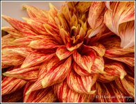 DSC__WLP_0001-129.jpg
