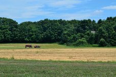 Farm_ 001_2000.jpg