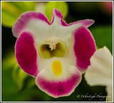 DSC__WLP_0001-134.jpg