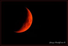 Day223BloodMoon.jpg