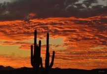 Sunset 8-9-13.jpg