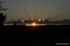 day 1 5100 560.jpg