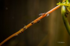 _DAB3019-SharpenAI-Motion.jpg