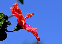 ROY_0643.JPG