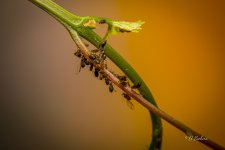 _DAB3042-SharpenAI-Motion.jpg
