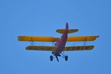 500_0009_L_cr.jpg