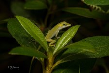 _DAB2906-SharpenAI-Motion.jpg