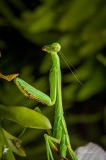 _DAB3302-SharpenAI-Motion.jpg