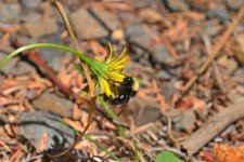 750_0229R_L_cr.jpg