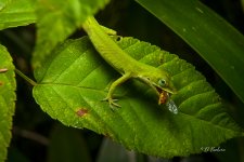 _DAB3513-SharpenAI-Focus-2.jpg