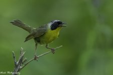 RD5_3288-Edit.jpg