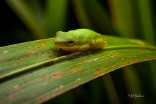 _DAB3592-SharpenAI-Motion.jpg