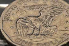 Susan B Dollar01.jpg