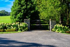 Gates and such-1227.jpg