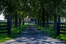 Gates and such-1225.jpg