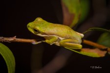 _DAB3853-SharpenAI-Motion-2.jpg
