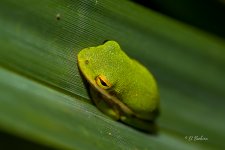 _DAB3867-SharpenAI-Motion.jpg