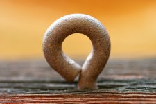 FireLoop-20.jpg