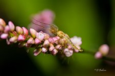 _DAB3957-SharpenAI-Motion.jpg