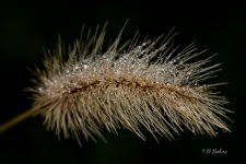_DAB3948-SharpenAI-Motion.jpg