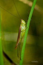 _DAB3969-SharpenAI-Motion.jpg
