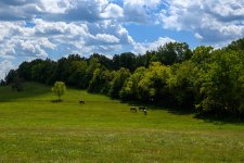 untitled-1330.jpg