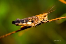 _DAB4053-SharpenAI-Motion.jpg