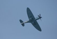 AS-5.jpg