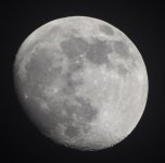 IMG_7375.jpeg