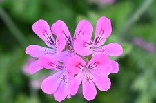 2023-06-21_18-53-38s.jpg