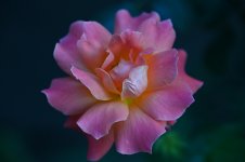 2023-09-03_18-19-08s.jpg