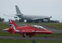 Red1-7.jpg