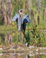 GBHSquack-57.jpg