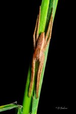 _DAB4504-topaz-sharpen.jpg