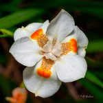 _DAB4579-topaz-sharpen-2.jpg