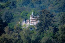 Castle in the trees.jpg