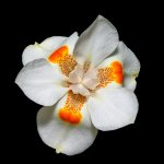 _DAB4579-topaz-sharpen.jpg