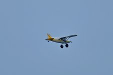 500_0105R_LSh_cr.jpg